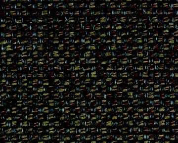 dingo-36.jpg